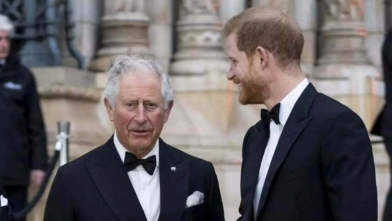 König Charles: Prinz Harrys Netflix-Doku könnte 'irreparablen Schaden' anrichten