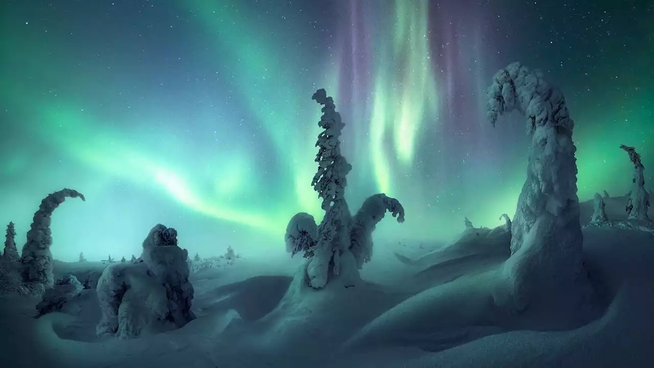 25 Spellbinding Photos of the Northern Lights