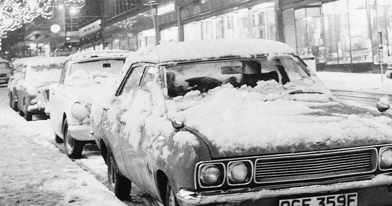 Vintage Glasgow snaps capture city's Christmas celebrations from years gone by