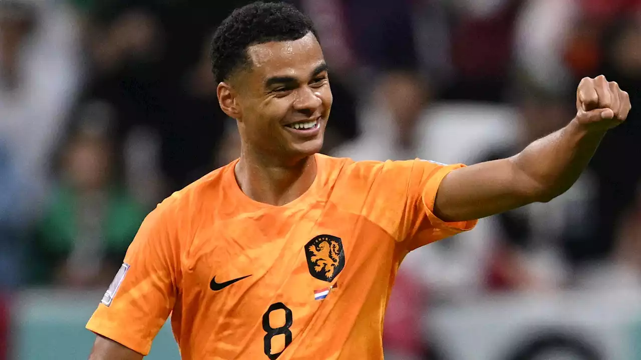 Bintang Belanda Cody Gakpo Tunggu Tawaran Manchester United Setelah Piala Dunia 2022 | Goal.com Indonesia