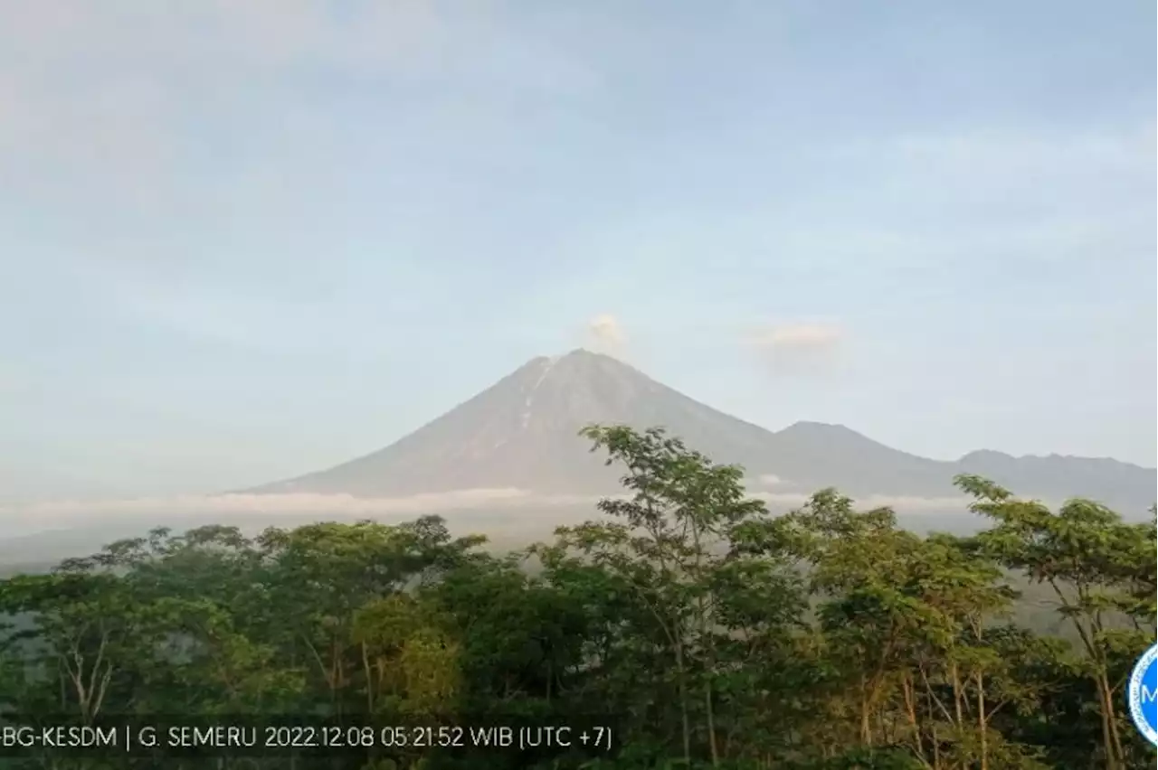 Kondisi Gunung Semeru Terkini: Awas, Masih Erupsi Terus!