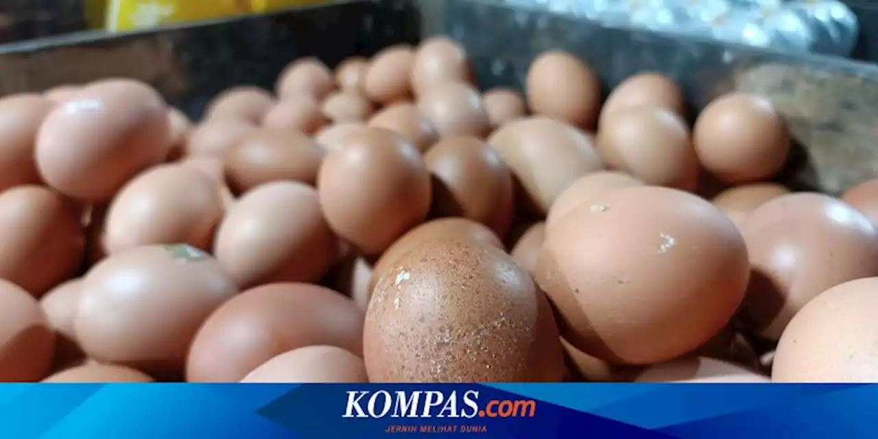 Pemkot Tangsel Bakal Gelar Operasi Pasar, Telur Dijual Rp 30.000 Per Kg