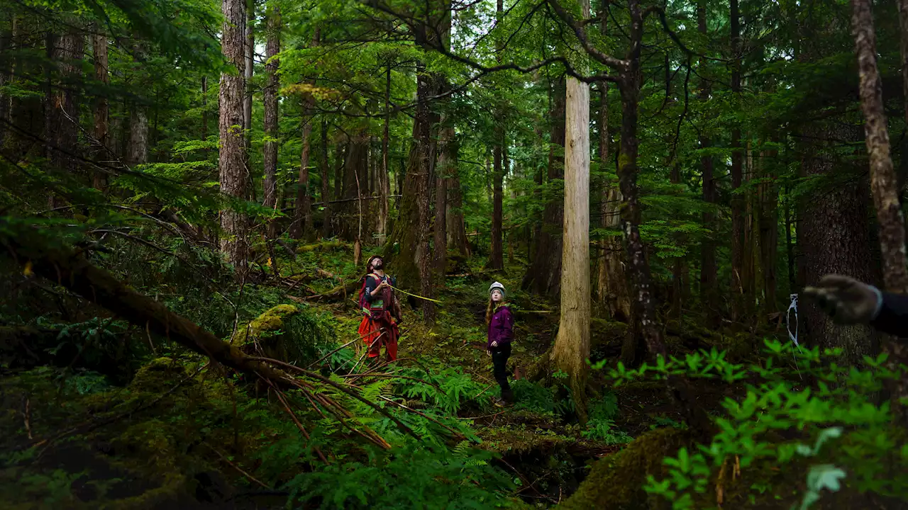 Carving a future for the Tongass National Forest