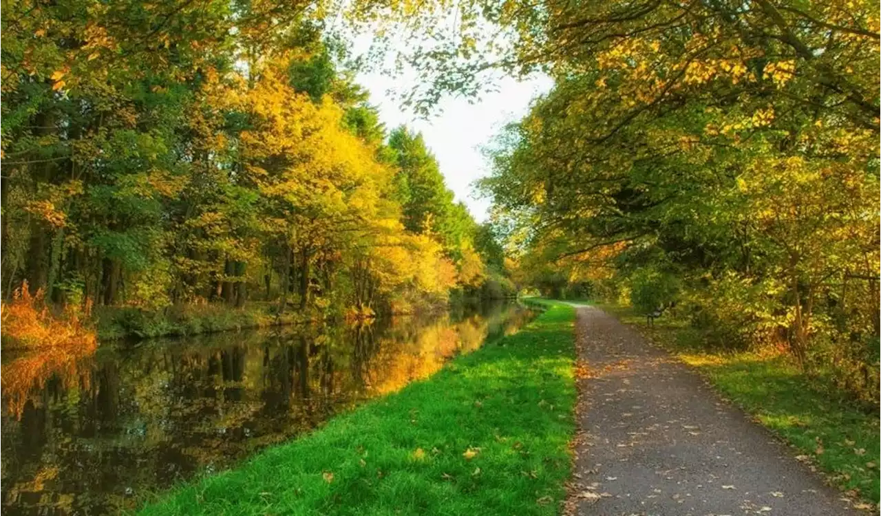 Water lovely view! Lancaster Canal voted UK's third most scenic waterside setting