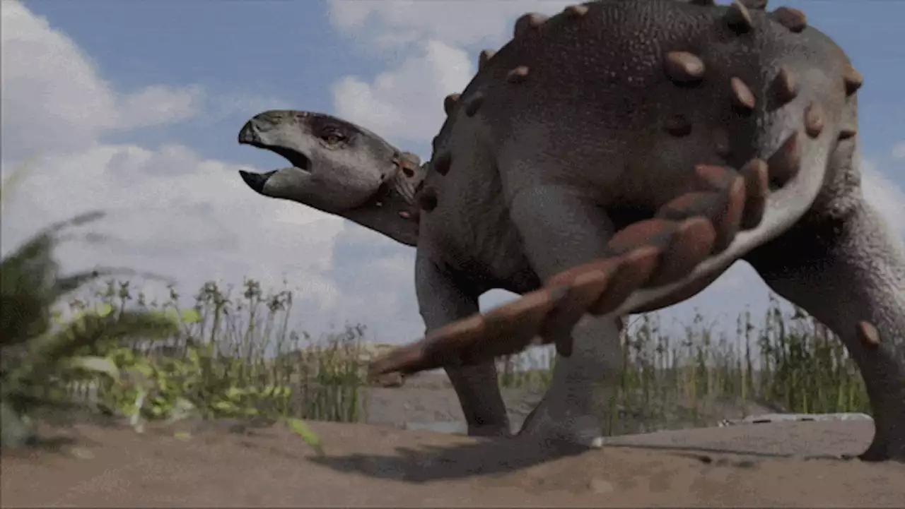 'Very weird' ankylosaur's tail looked like an Aztec war club