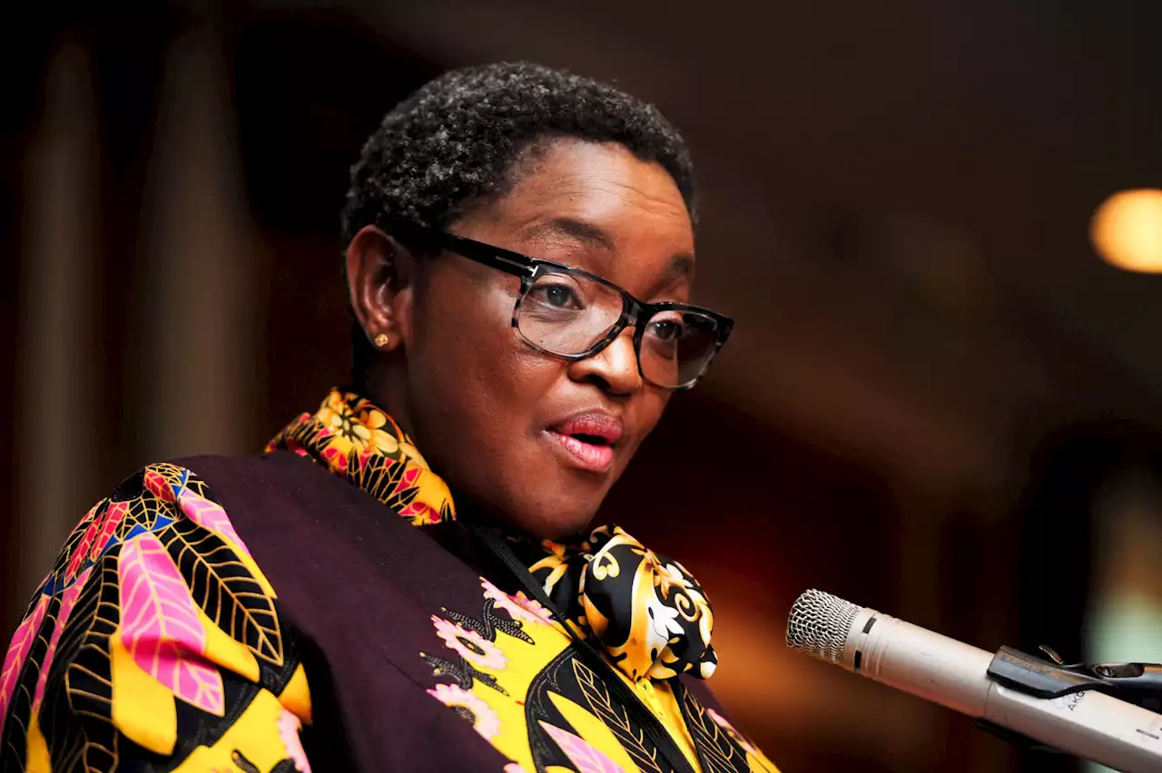 Bathabile Dlamini barred from nominations as ANC NEC member