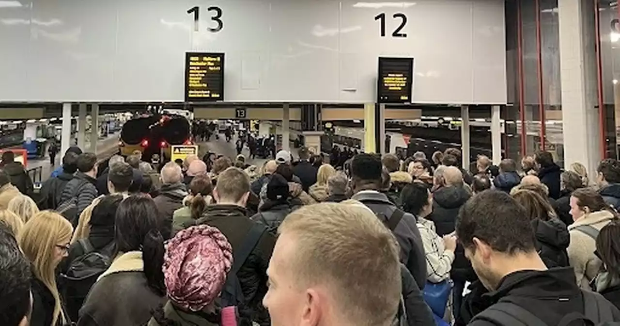 Major disruption on trains from London to Manchester amid travel chaos at Euston