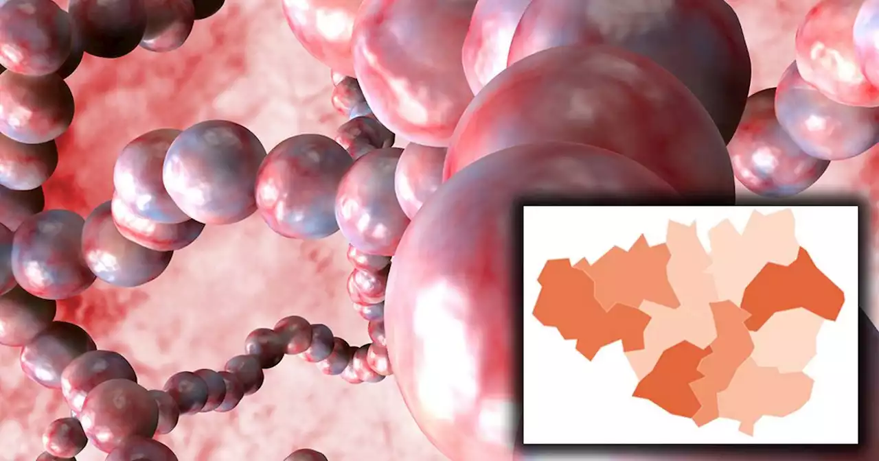 Where the Group A strep and scarlet fever cases are across Greater Manchester