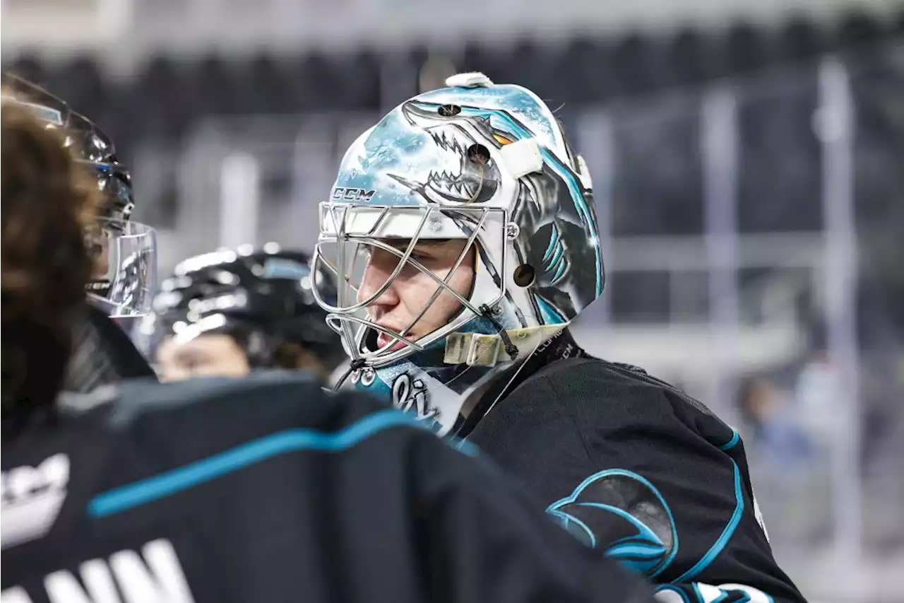 Sharks rookie had back surgery last year. Now he’s getting a taste of the NHL