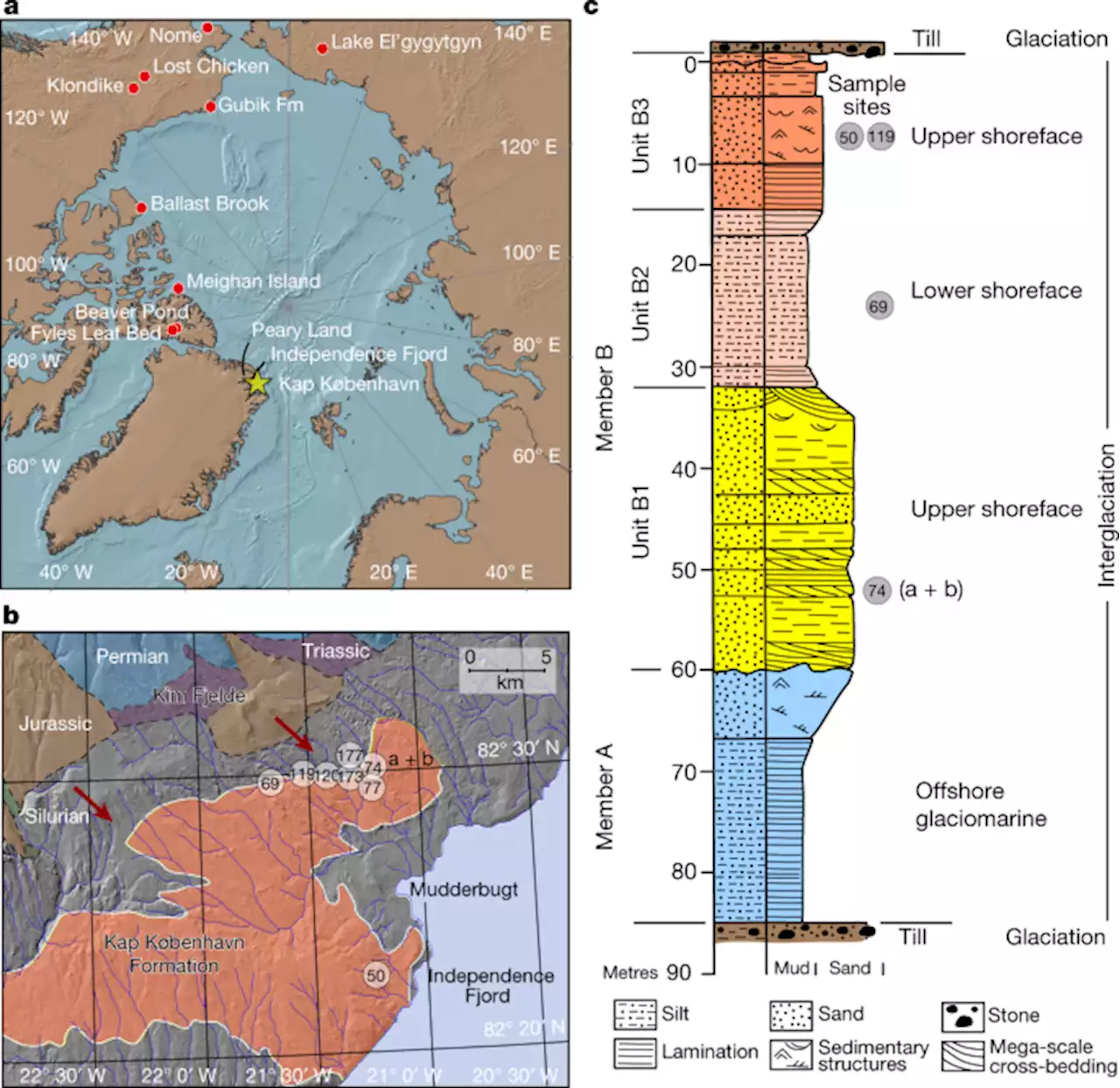 A 2-million-year-old ecosystem in Greenland uncovered by environmental DNA - Nature