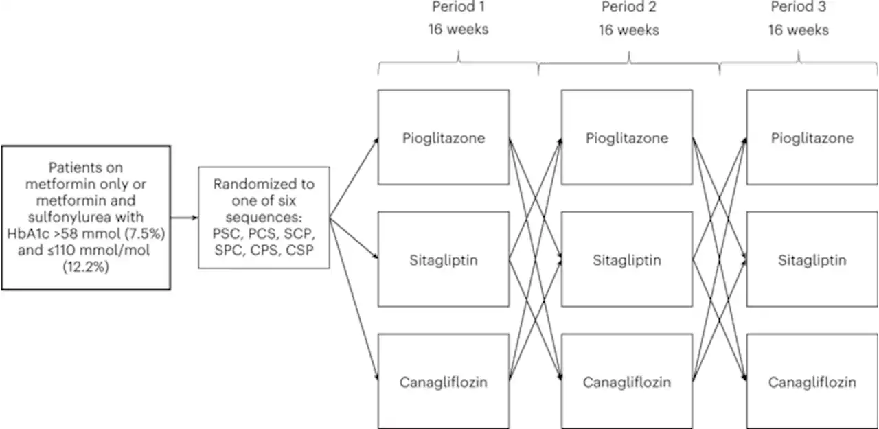 Patient stratification for determining optimal second-line and third-line therapy for type 2 diabetes: the TriMaster study - Nature Medicine