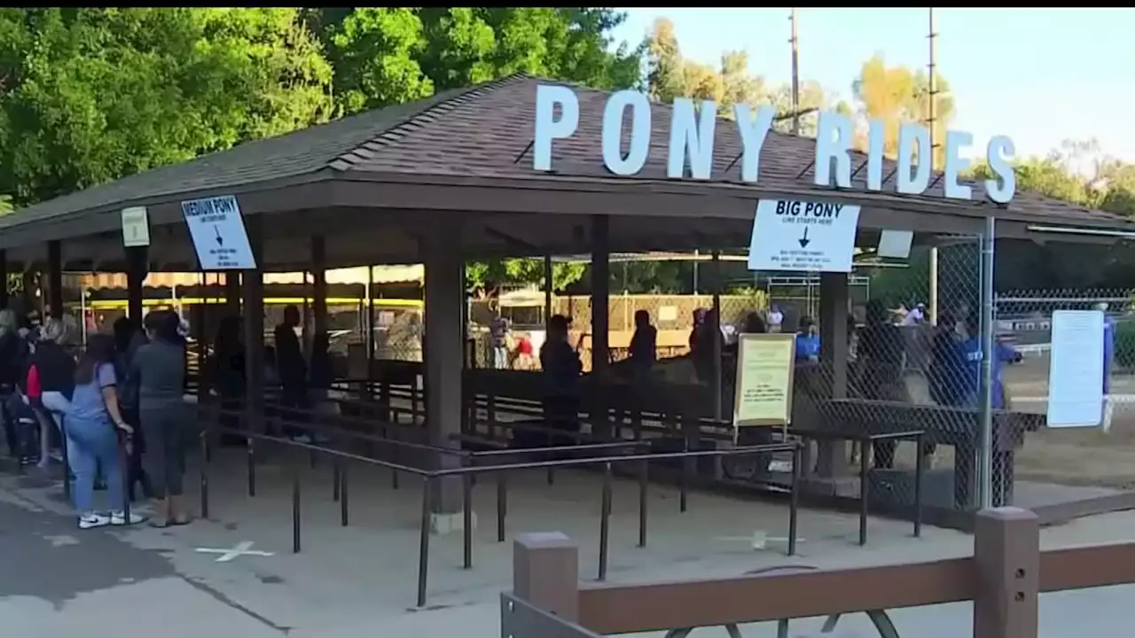 Griffith Park Pony Rides and City of LA at Odds Over Death of Four Ponies