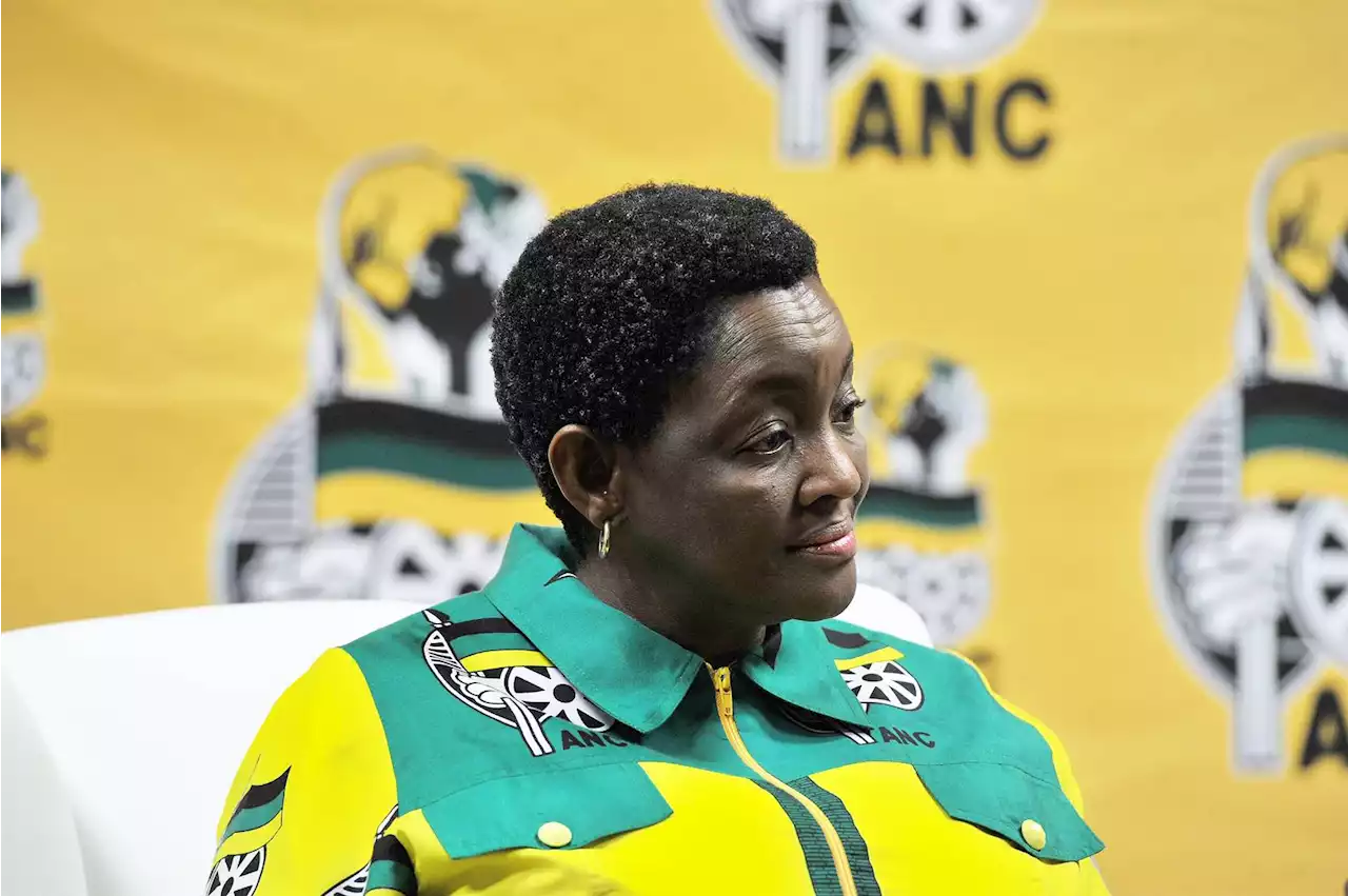 Bathabile Dlamini not eligible for ANC NEC position due to perjury conviction | News24