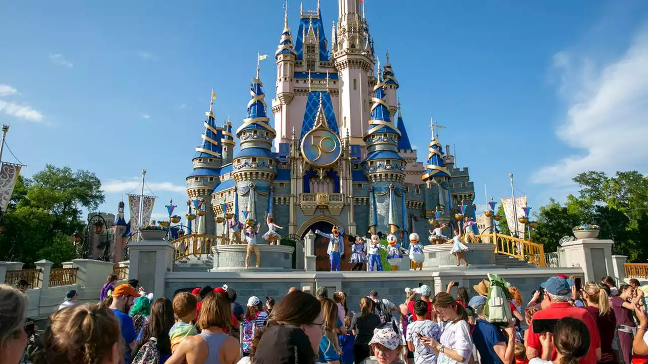 Billionaire pays for nearly 10,000 employees to celebrate at Disney World