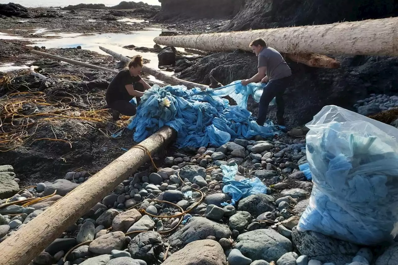 From urinal mats to unicorns, cargo from 2021 spill still washes up on B.C. shores