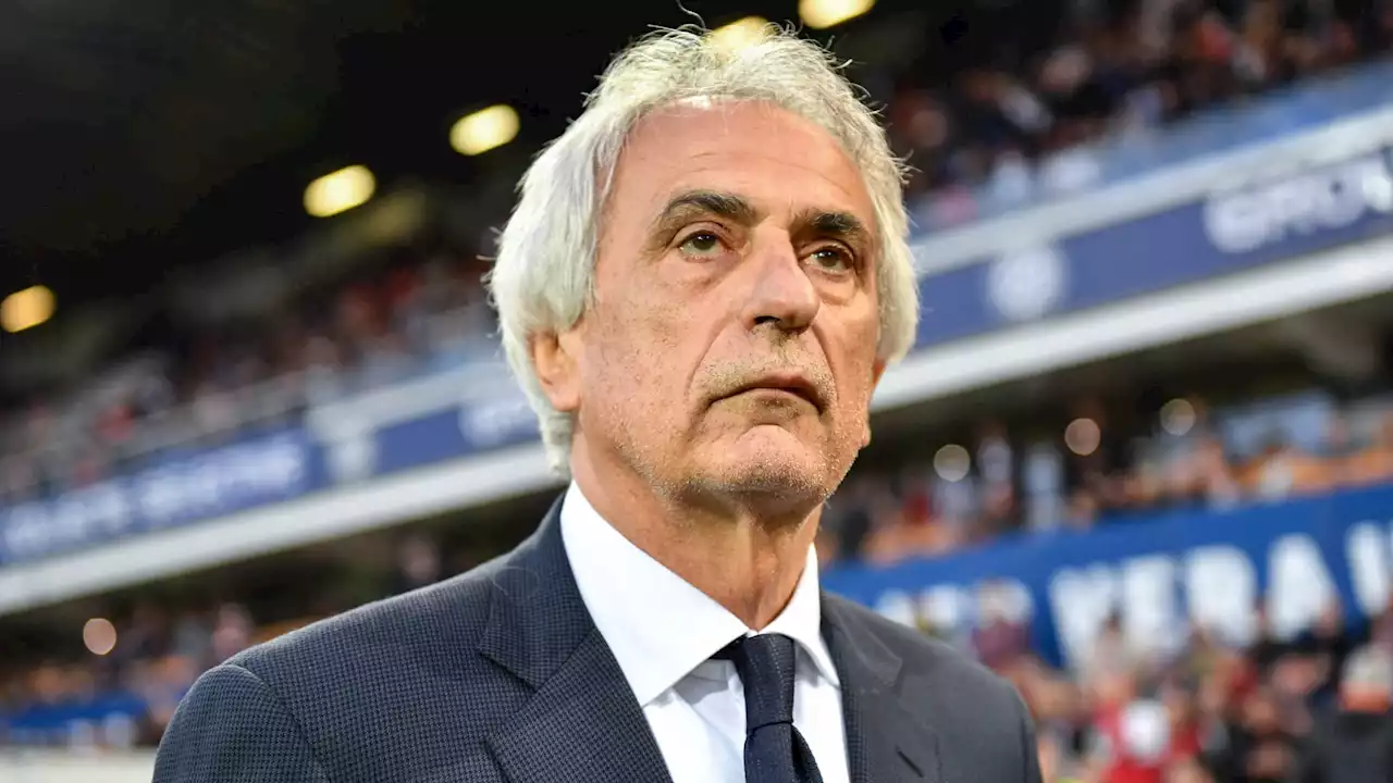 'J'ai jamais vu ça', Vahid Halilhodzic raconte le jour où Florent Malouda l'a insulté