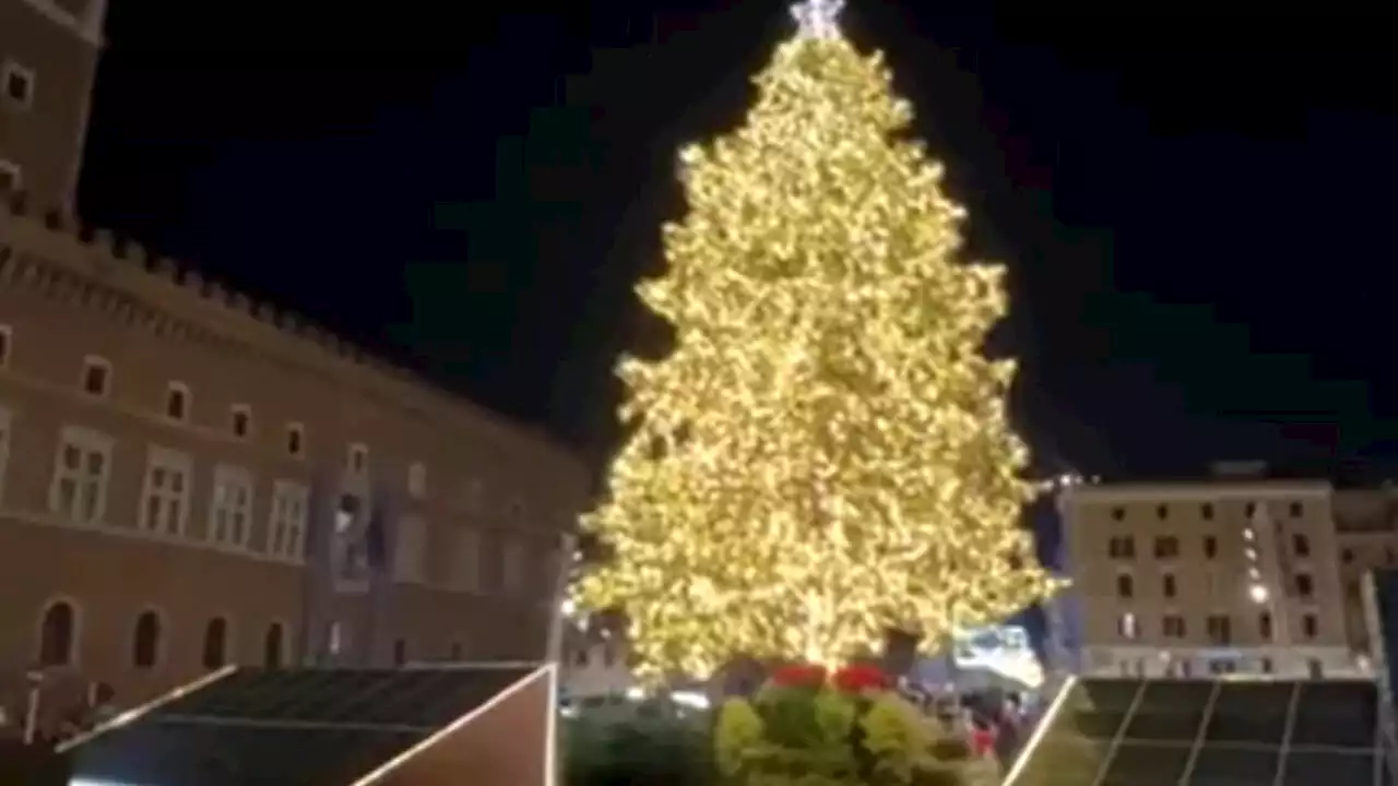 Natale a Roma: si accendono le luci dell'albero green di piazza Venezia