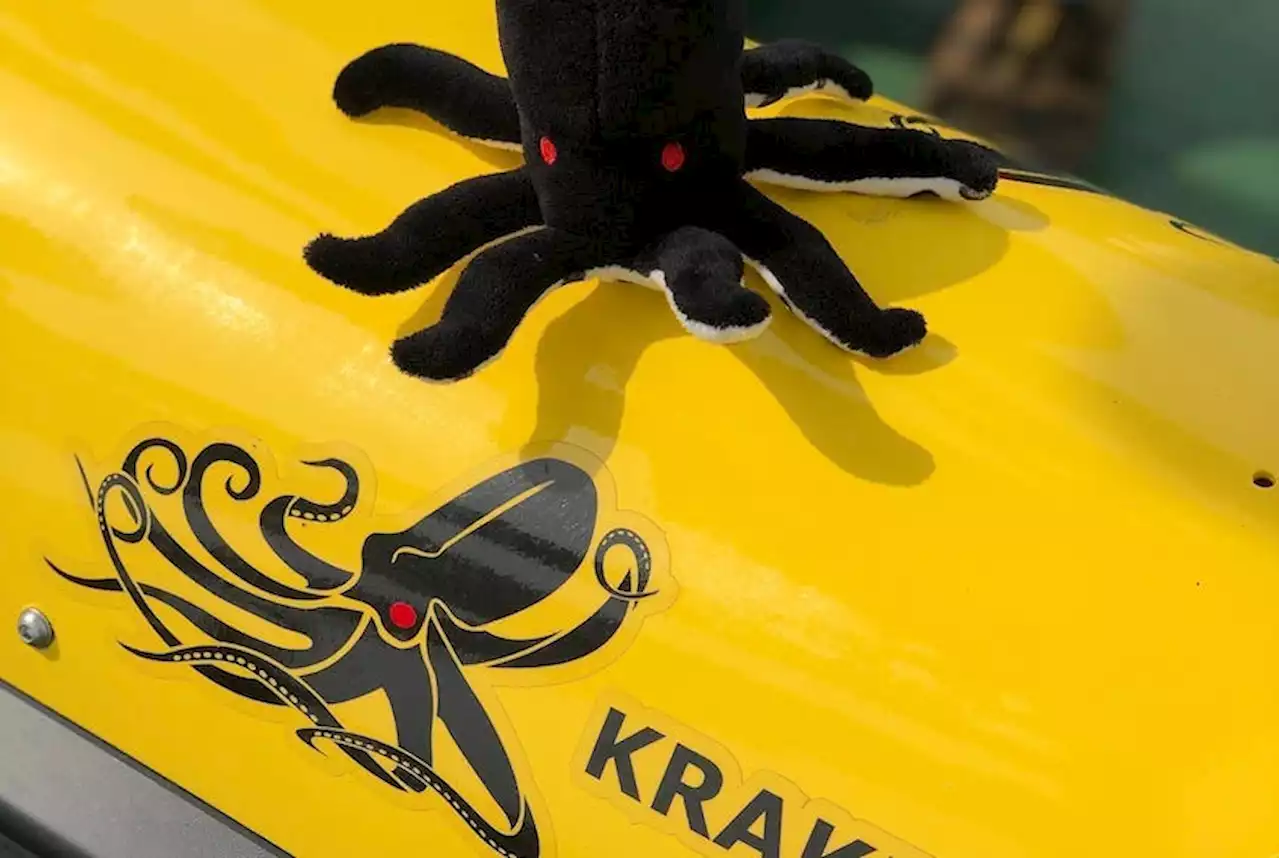 Newfoundland's Kraken Robotics awarded $50-million Royal Canadian Navy contract | SaltWire