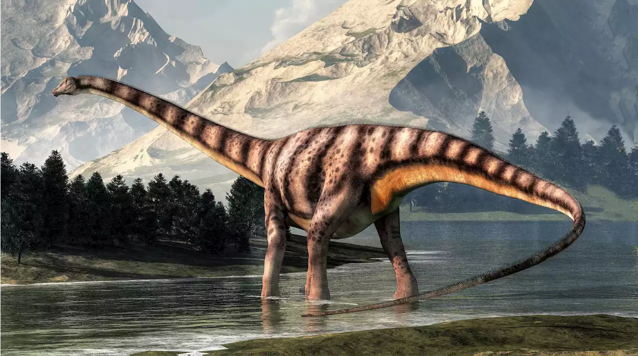 Could Diplodocid Dinosaurs Whip Their Long Tails Fast Enough To Create a Supersonic Boom?