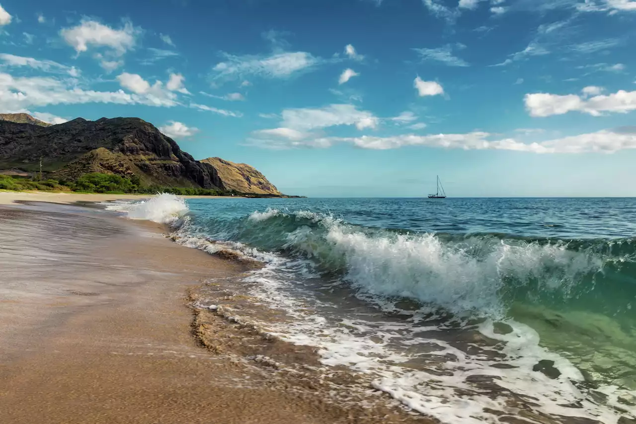 Vigilante reportedly blocking access to Hawaii’s Makua Beach