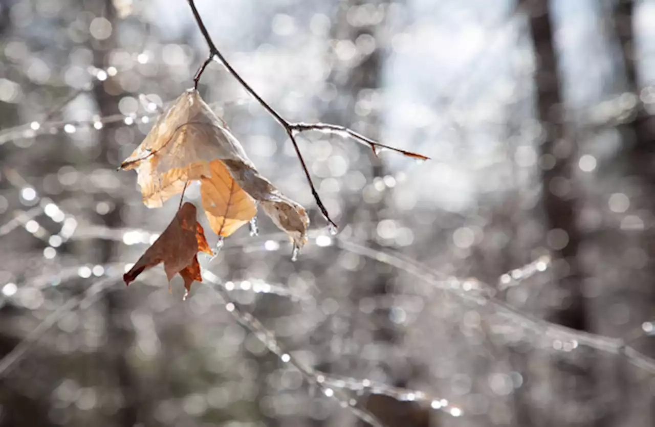 Status Yellow warnings to take effect tonight as 'treacherous conditions' roll in