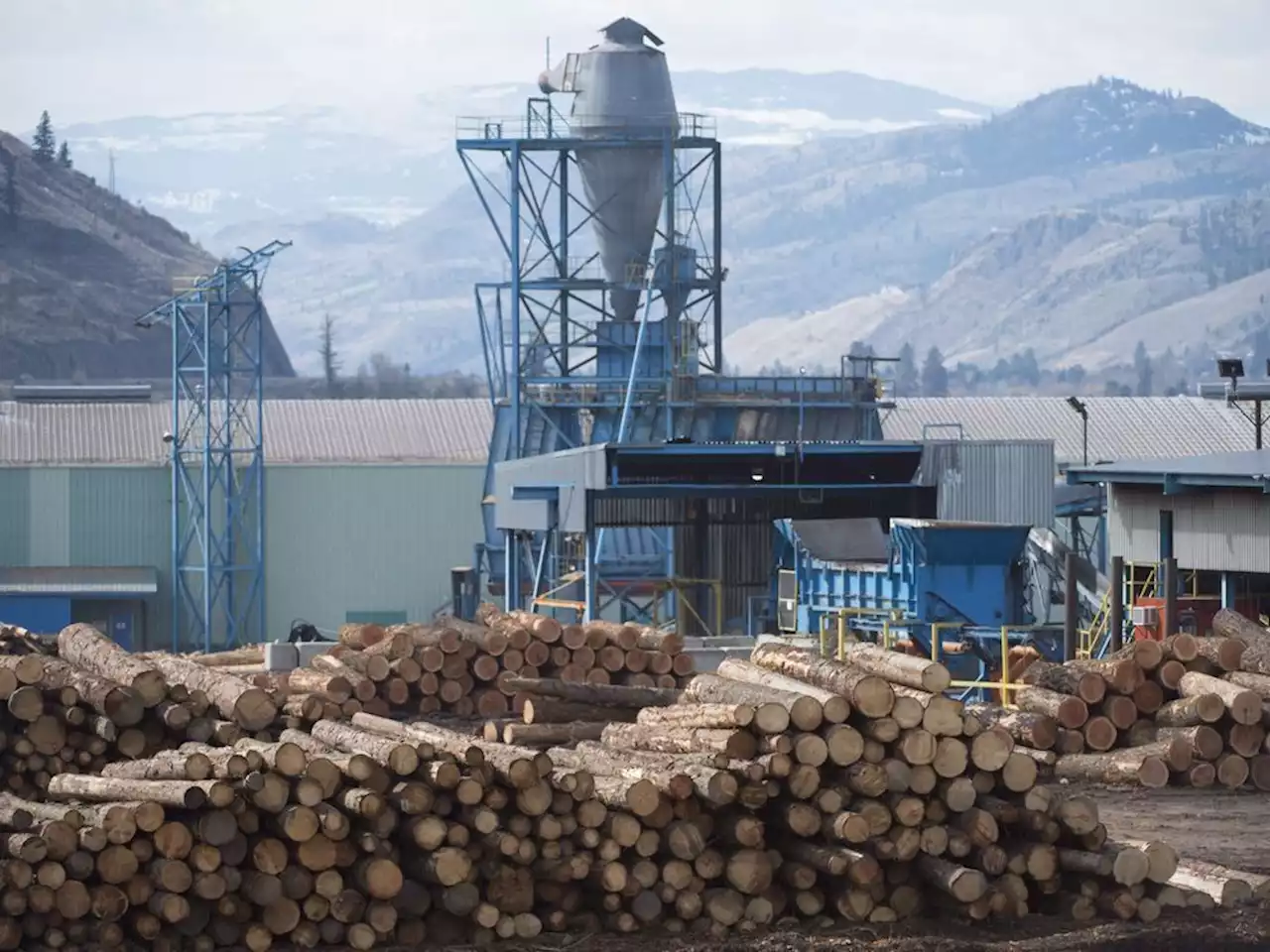 B.C. court rules forestry company must pay $343,000 cost of 2016 wildfire suppression