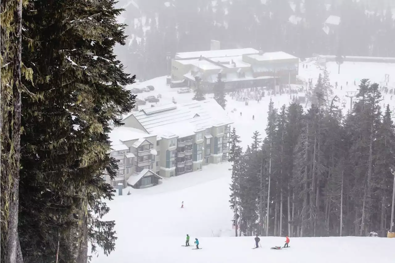 Bring water and flush less, Mount Washington tells visitors amid water shortage