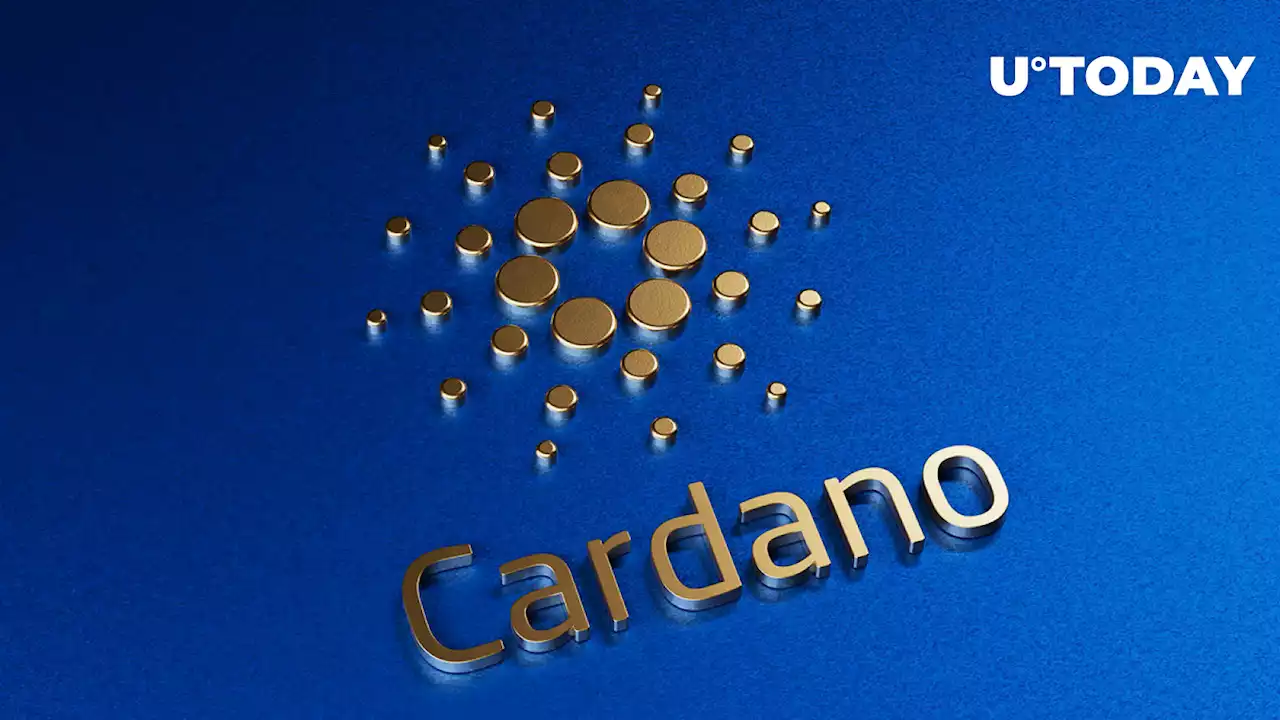 Leading Cardano DEX Suffers Front-Running Attack