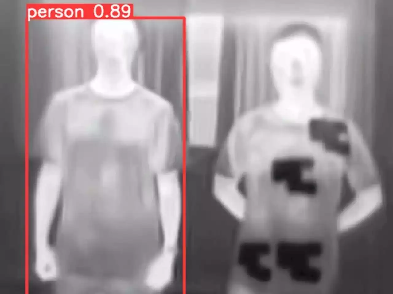 Chinese students develop 'invisibility cloak' to hide from AI security cameras