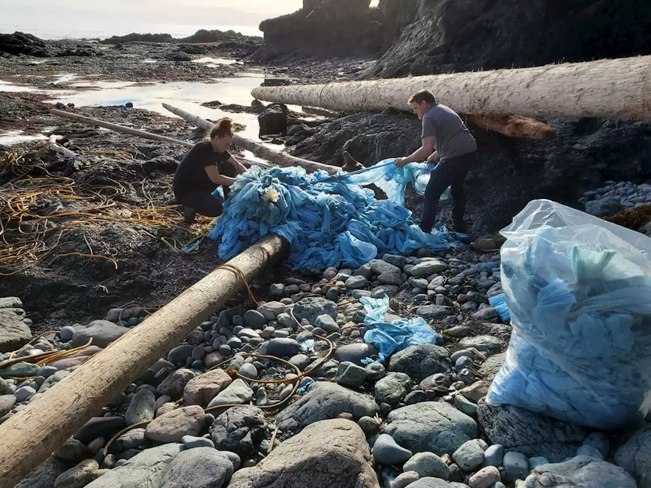 From urinal mats to unicorns, cargo from 2021 spill still washes up on B.C. shores