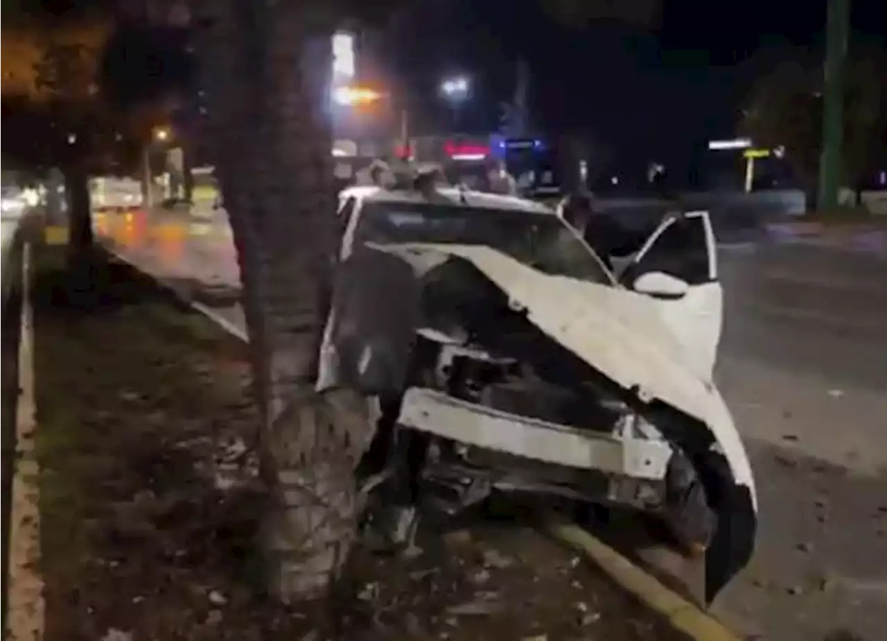 Joven choca contra árbol en principal bulevar de Saltillo, paramédicos descartan lesiones de gravedad