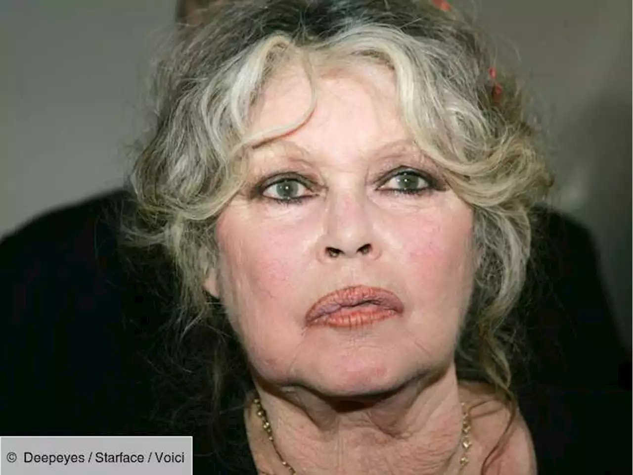 « Je vais très mal » : Brigitte Bardot donne des nouvelles très inquiétantes - Voici