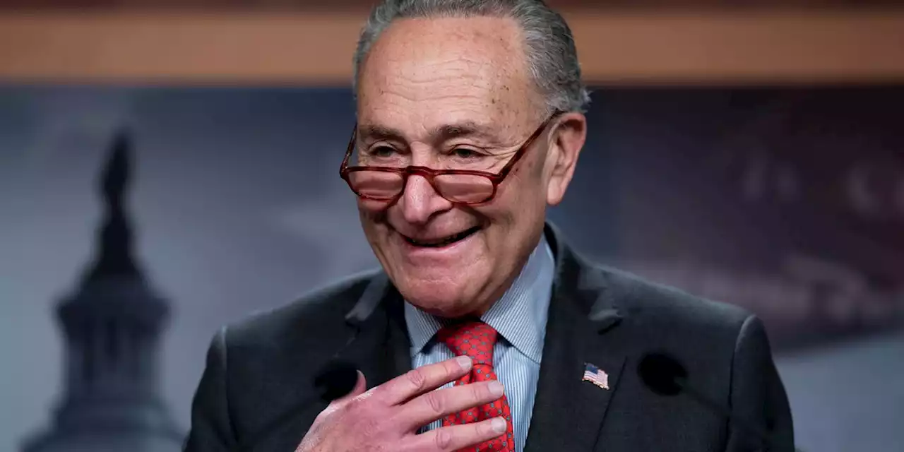 Schumer reelected Senate leader after Dems expand majority