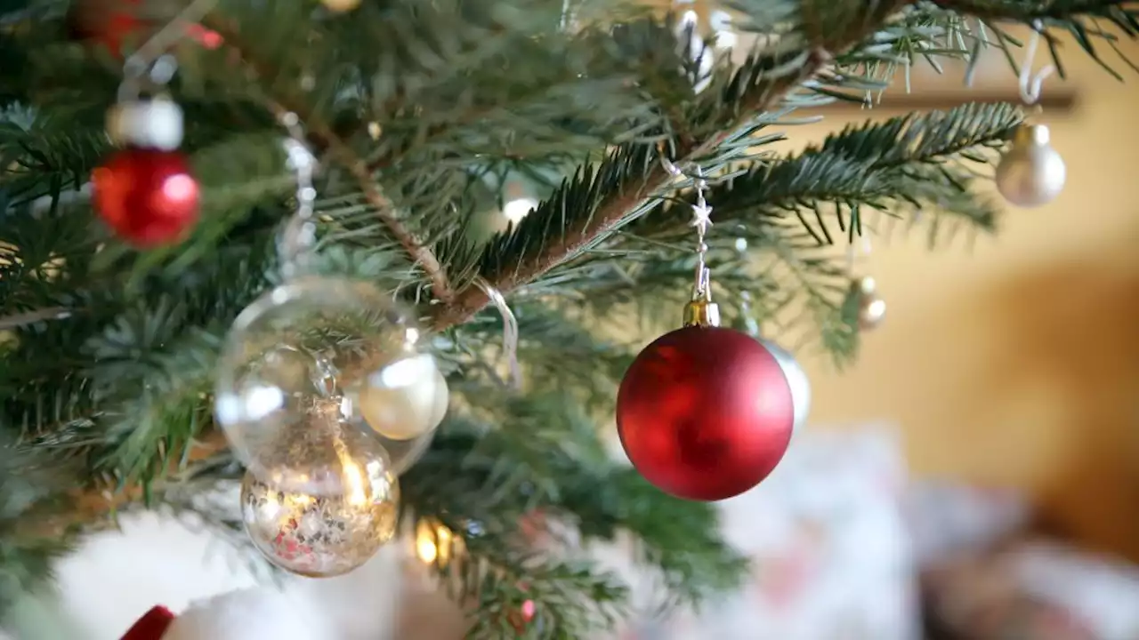 So hält der Weihnachtsbaum auch länger durch