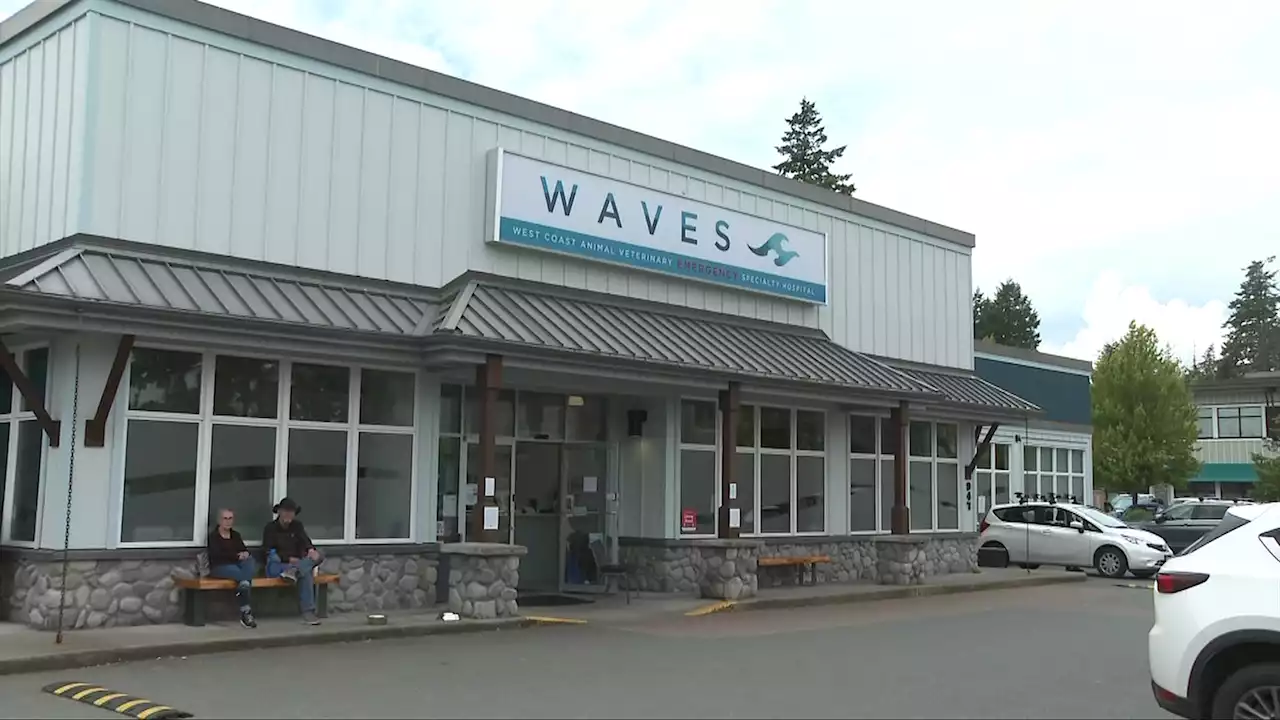 WAVES vet in Langford once again expands urgent care hours