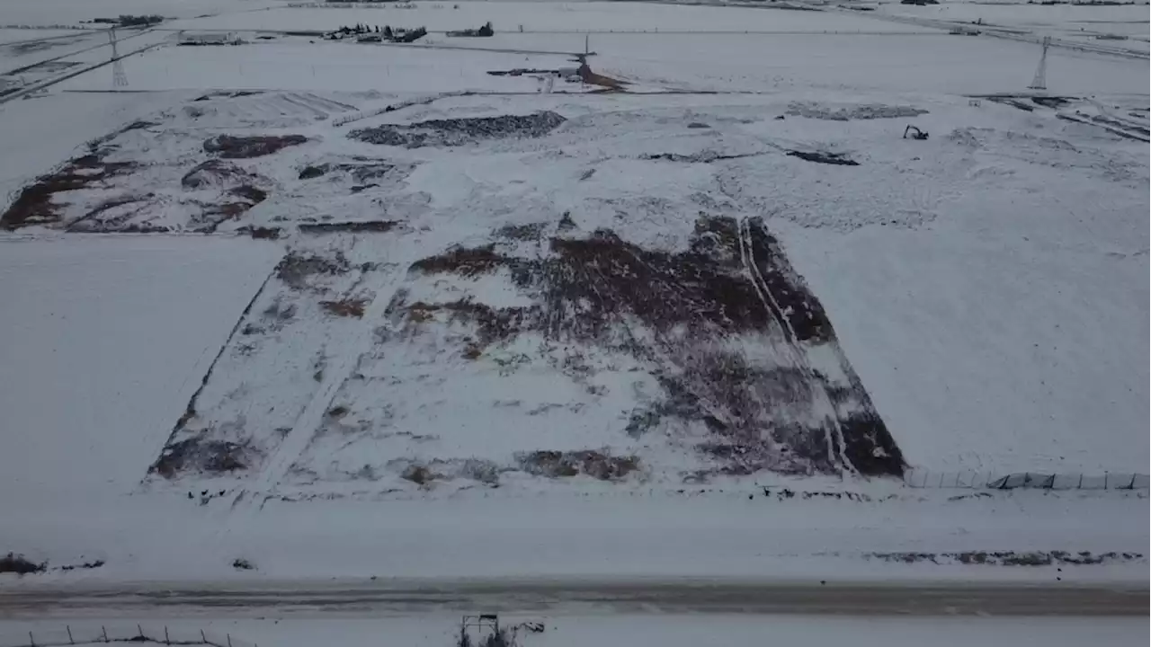 No decision on landfill search, Winnipeg Police Board considering outside help