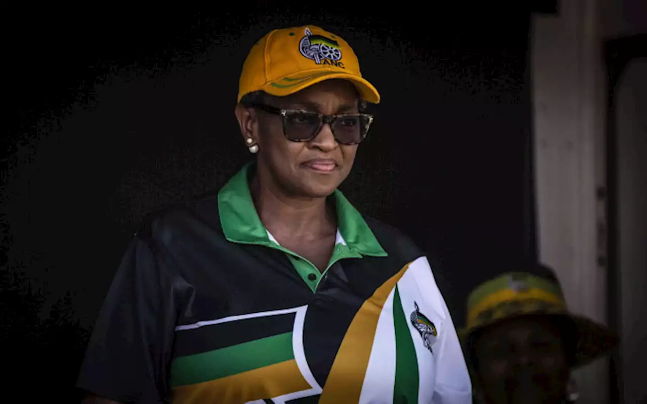 Dlamini surprised but not shocked by ineligibility to run for ANC NEC positions