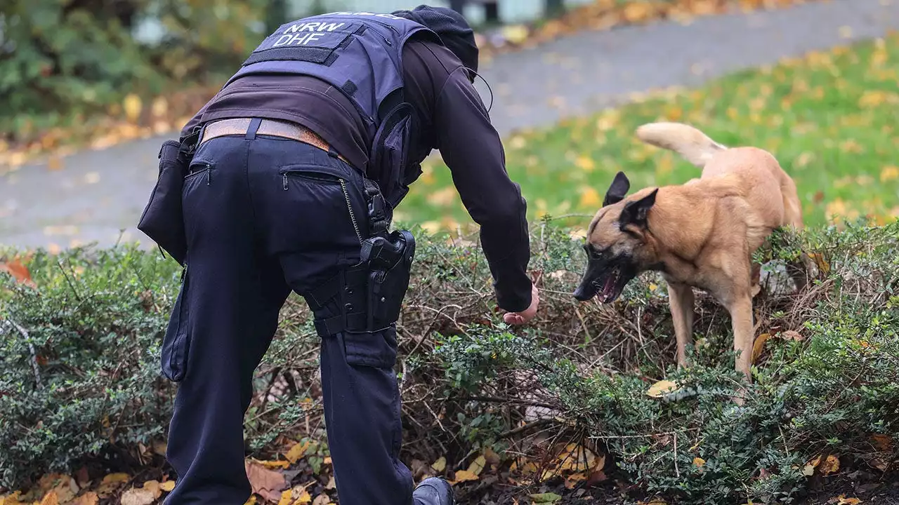 United States is short on bomb-sniffing dogs; relies on importing animals from overseas