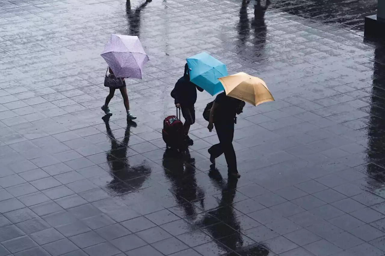 AEMET espera, por fin, lluvias en España tras la sequía de 2022. Estas webs de mapas te muestran cómo se aproxima