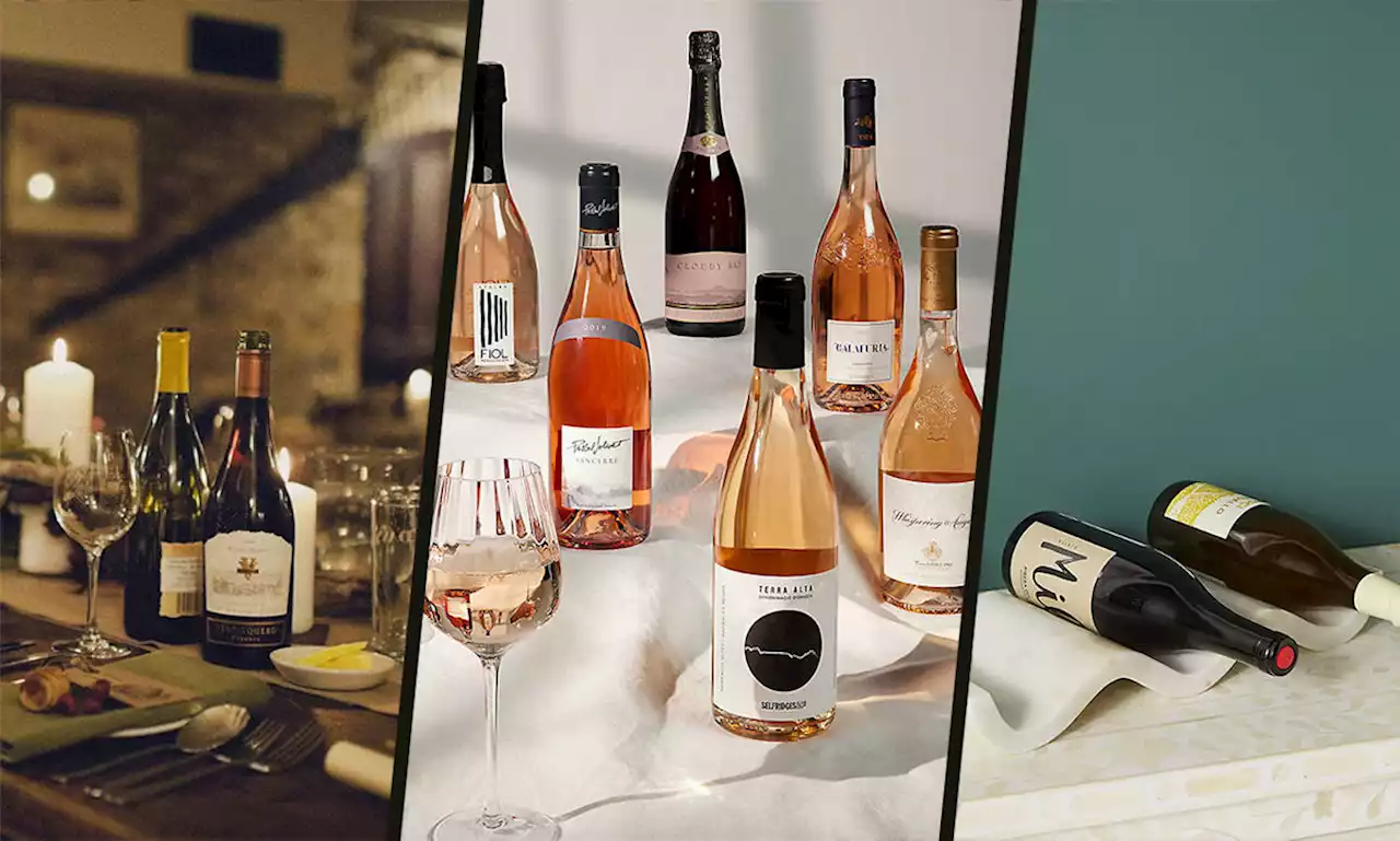 13 best gifts for wine lovers this Christmas: Wine fridges, unusual corkscrews, glasses & more