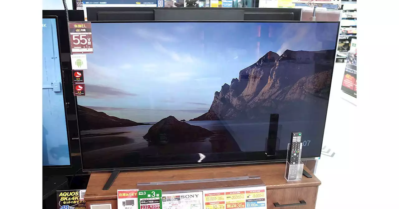 日本代表の活躍で薄型テレビがバカ売れ！ 2022年に売れたデジタル家電 - トピックス｜Infoseekニュース