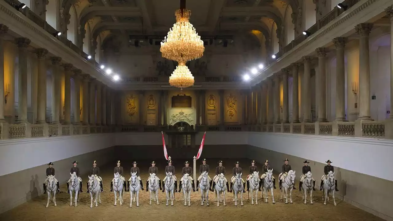 Spectacle équestre : les chevaux de l'Ecole de Vienne entrent dans la valse