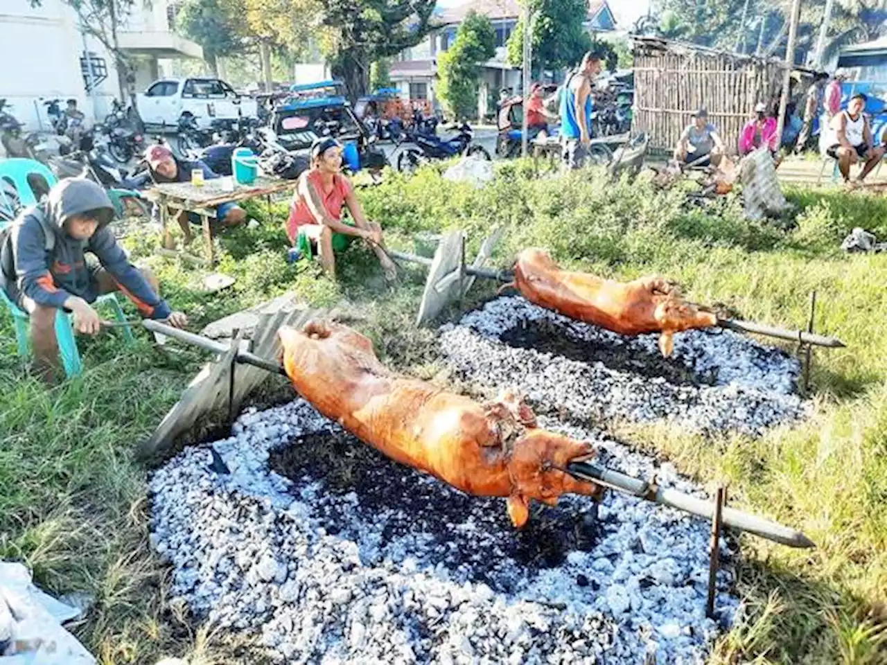 1,900 pigs culled in Iloilo due to ASF