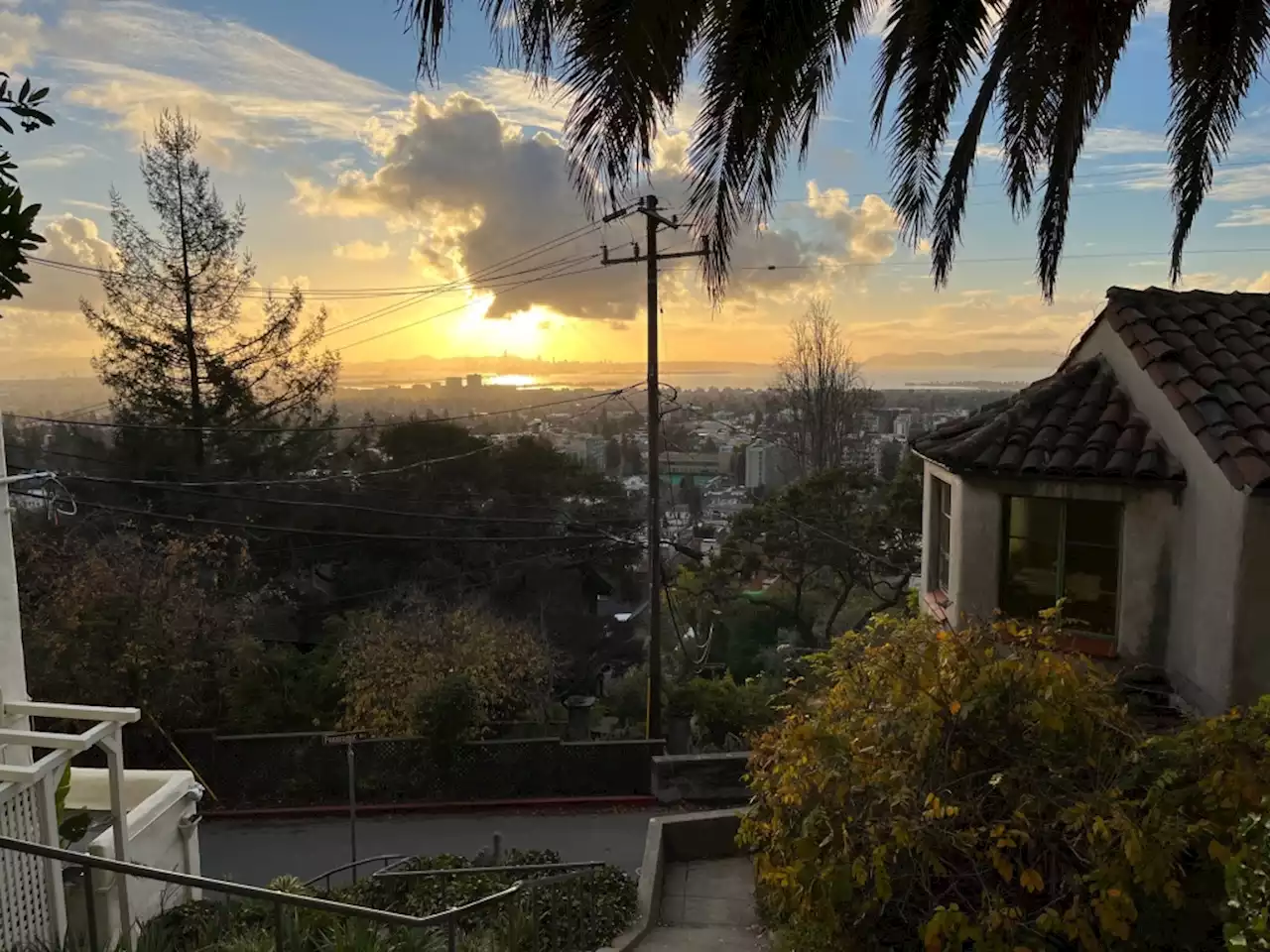 The punishing joys of hiking in the Berkeley Hills