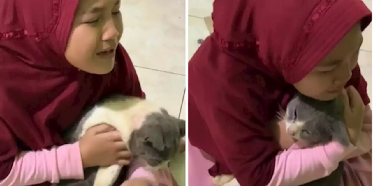 Hilang Selama 1,5 Tahun, Anak Kecil Ini Menangis Haru saat Kucingnya Kembali Pulang | merdeka.com