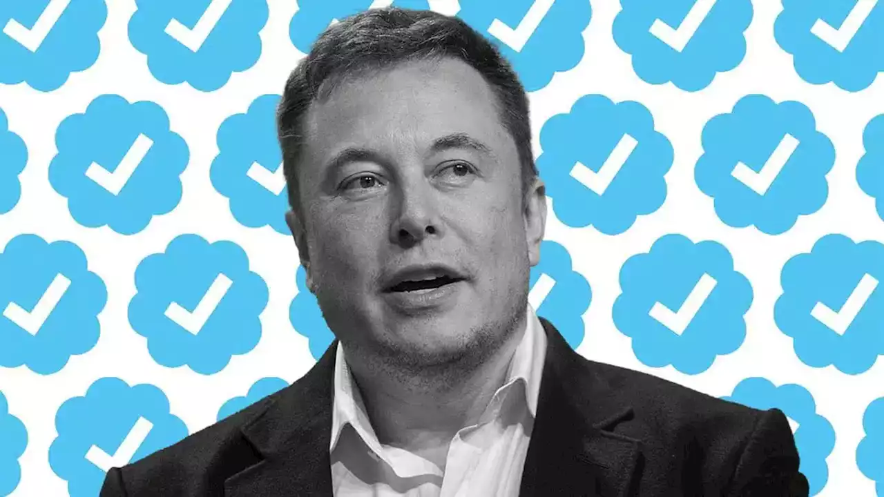 Elon Musk convierte las oficinas de Twitter en dormitorios