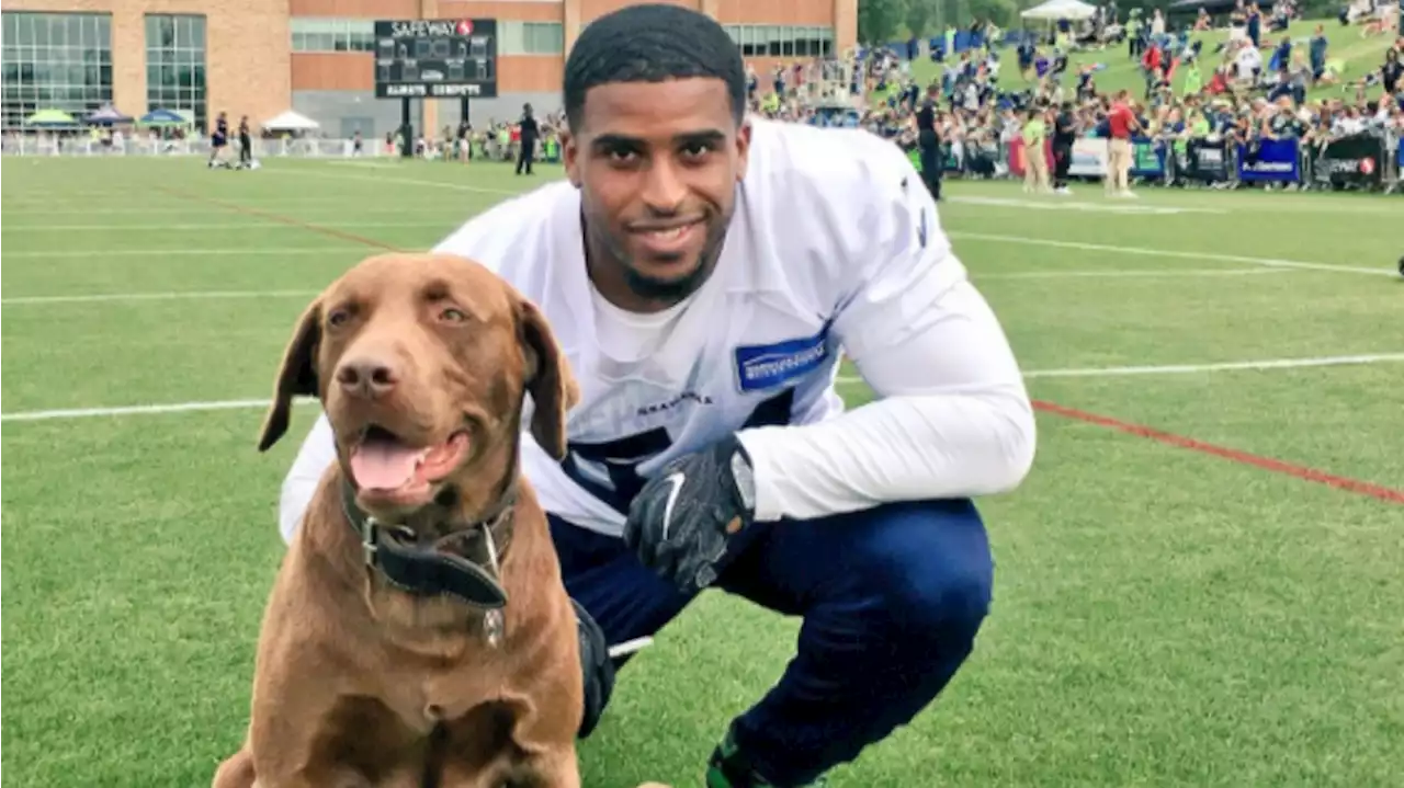 Turf, the Seahawks' treasured team dog, passes away