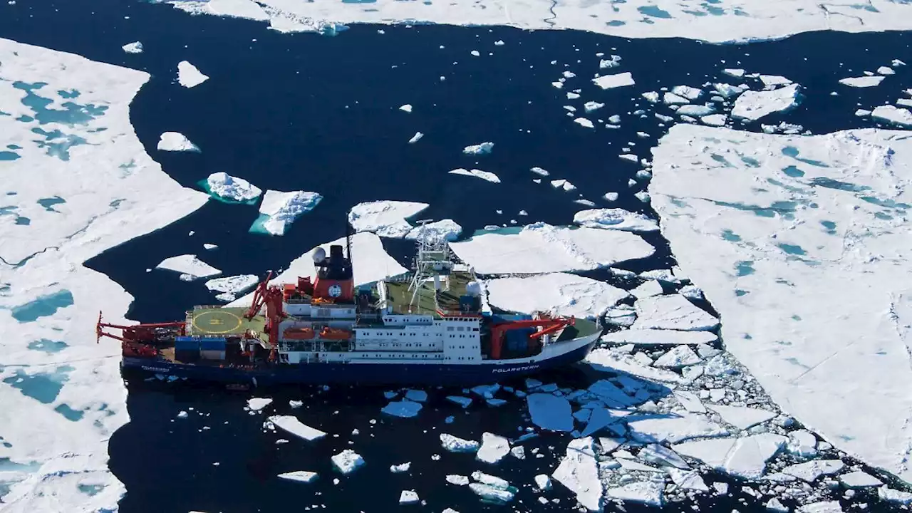 'Polarstern' bricht seit 40 Jahren ins 'ewige Eis' auf