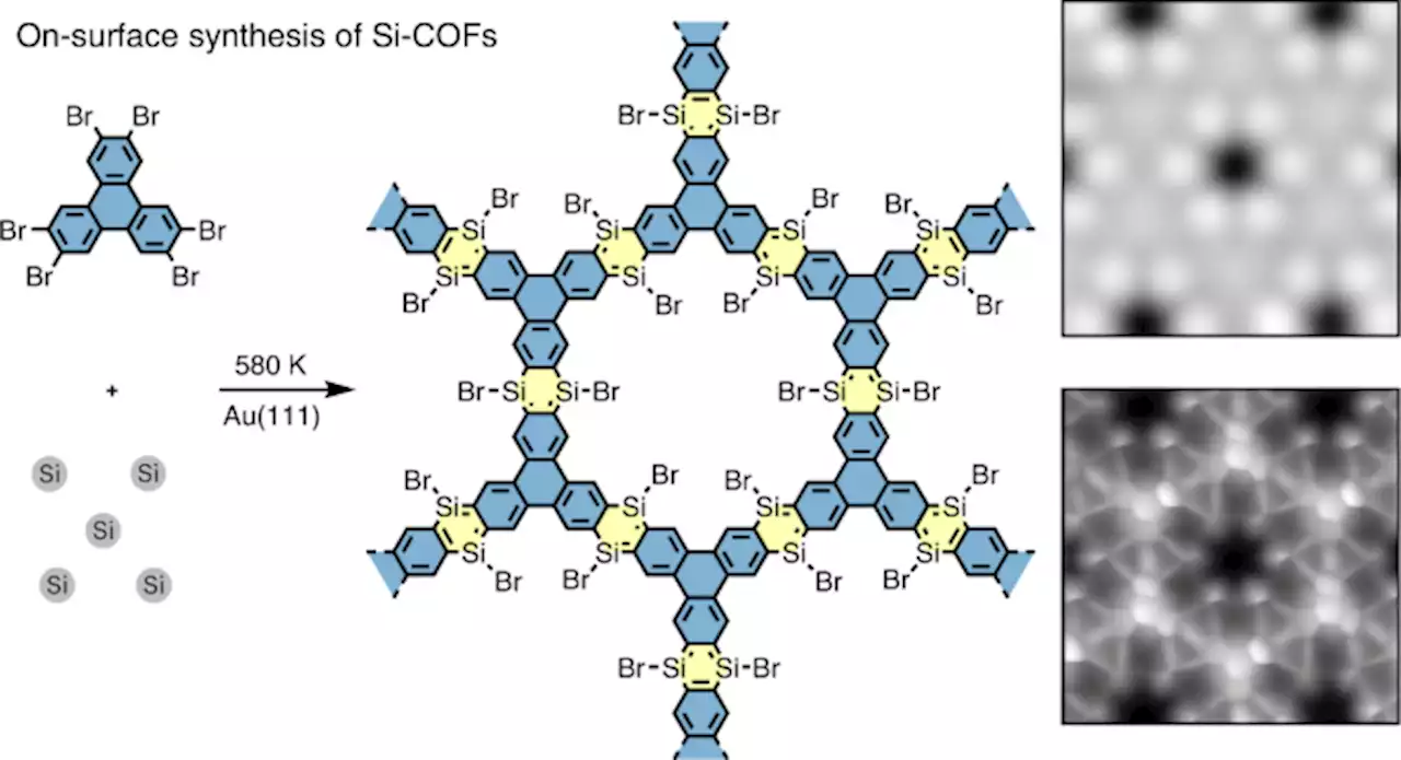 On-surface synthesis of disilabenzene-bridged covalent organic frameworks - Nature Chemistry