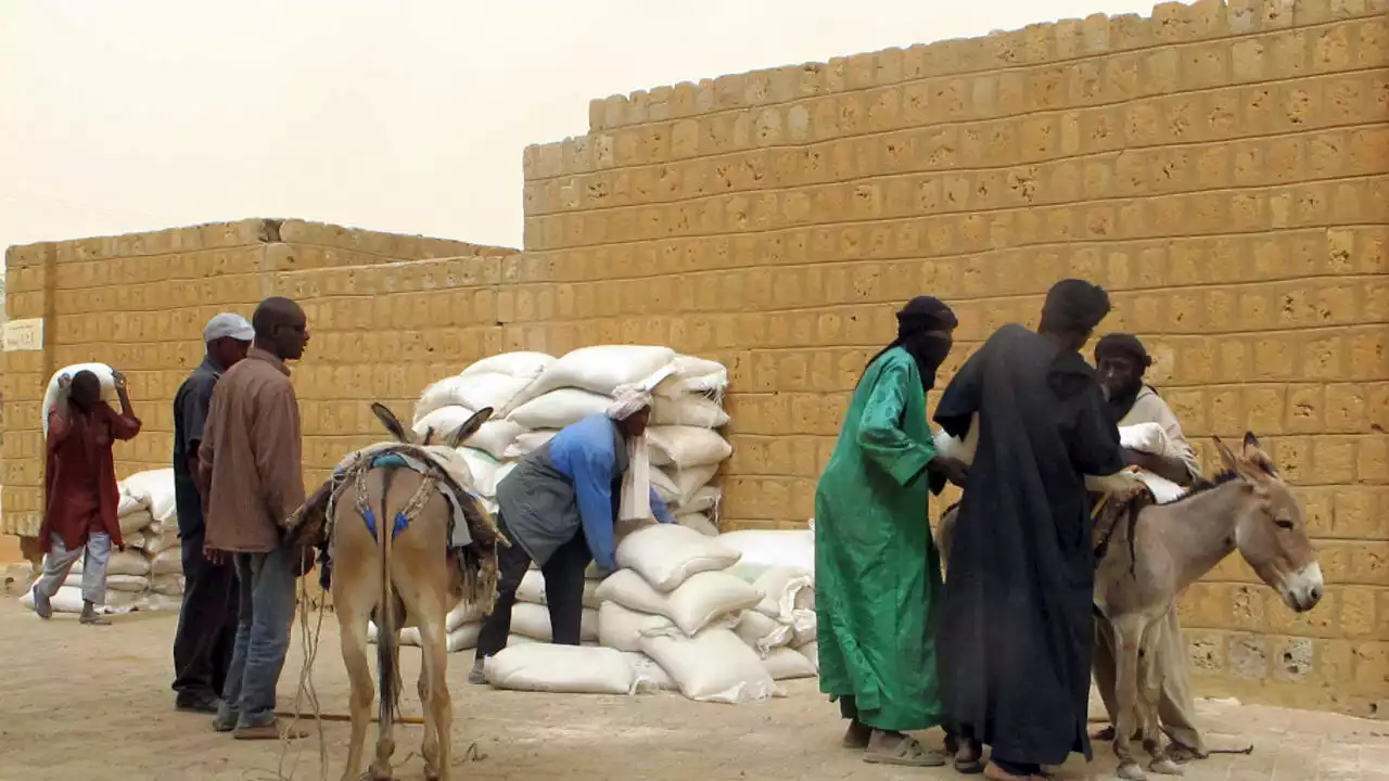 Mali: interdiction des ONG financées par la France, point d'étape